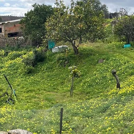 The White Cabin On The Hill. *