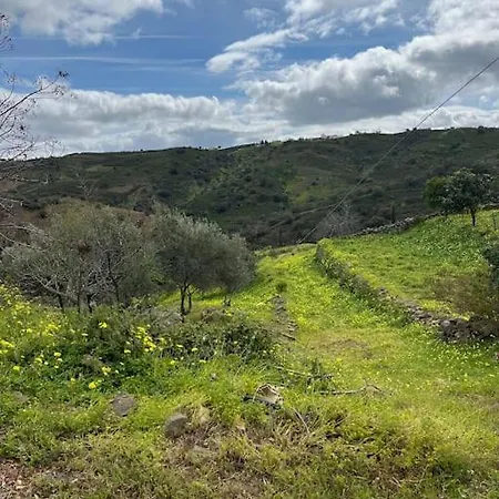 The White Cabin On The Hill. شقة *