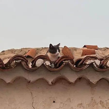 The White Cabin On The Hill. شقة